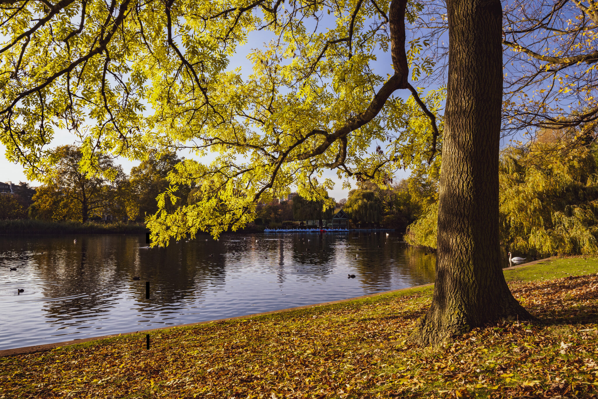 how-to-prepare-for-autumn-in-london-international-students-house