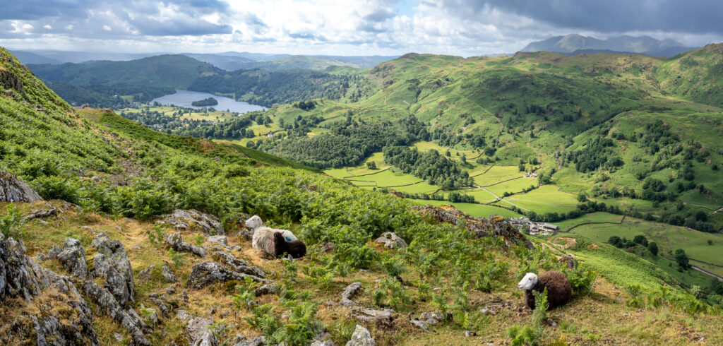 View of Derwentwater lake from Lattrig moorland,, England, United kingdom